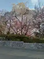 松音寺(宮城県)