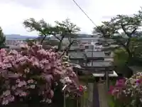 八幡神社(福井県)