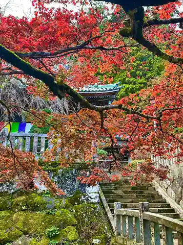 最乗寺（道了尊）(神奈川県)