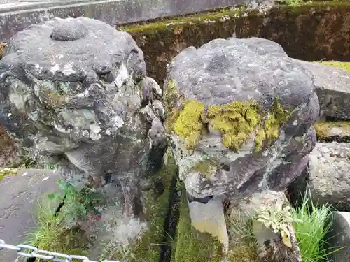 飛騨屋神明社の狛犬