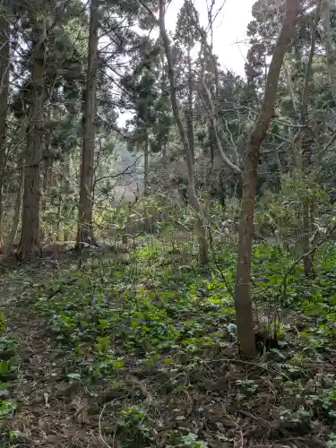 函館八幡宮の自然