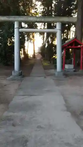 船場稲荷神社の鳥居