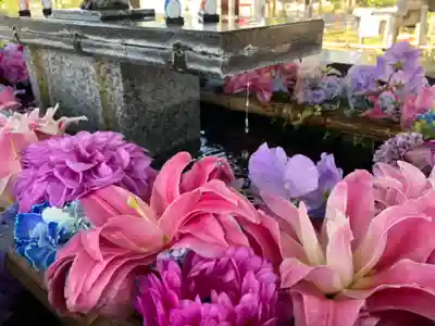 新琴似神社の手水舎