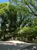 明治神宮の{uncategorized: "未分類", other: "その他", undefined: "問題あり", building: "その他建物", grave: "お墓", sacred_gate: "鳥居", guardian: "狛犬", statue: "像", buddha: "仏像", history: "歴史", nature: "自然", garden: "庭園", animal: "動物", pagoda: "塔", temizu: "手水舎", mountain_gate: "山門・神門", sanctuary: "本殿・本堂", subordinate: "末社・摂社", art: "芸術", scenery: "景色", jizo: "地蔵", ema: "絵馬", goshuin: "御朱印", omikuji: "おみくじ", items: "授与品その他", amulet: "お守り", goshuincho: "御朱印帳", eats: "食事", festival: "お祭り", votive_dance: "神楽", shichigosan: "七五三参", wedding: "結婚式", experience: "体験その他", initially: "初詣", around: "周辺", anti_infection: "感染症対策"}