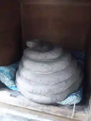 柳里神社の狛犬