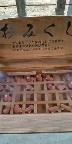 大藤神社のおみくじ