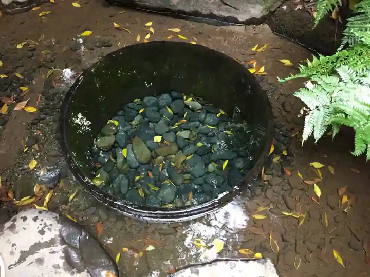 明治神宮の庭園