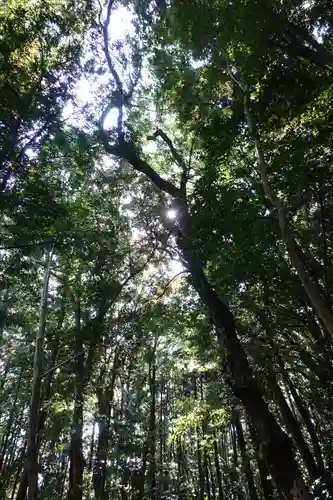 月讀宮（皇大神宮別宮）の自然