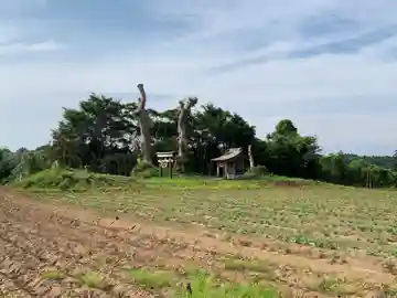 天満宮(千葉県)
