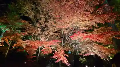 宝厳院(京都府)