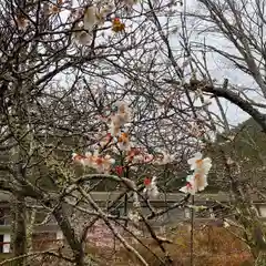 古峯神社の自然