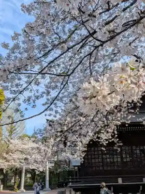 熊野神社(東京都)