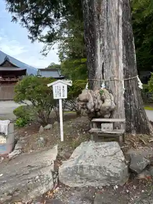 中禅寺(栃木県)