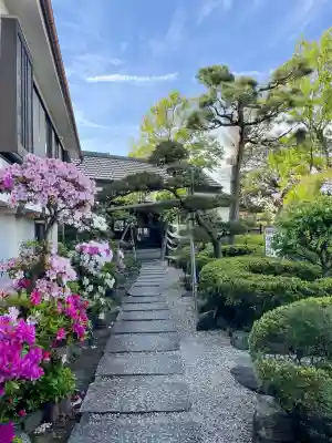 徳寿院の{uncategorized: "未分類", other: "その他", undefined: "問題あり", building: "その他建物", grave: "お墓", sacred_gate: "鳥居", guardian: "狛犬", statue: "像", buddha: "仏像", history: "歴史", nature: "自然", garden: "庭園", animal: "動物", pagoda: "塔", temizu: "手水舎", mountain_gate: "山門・神門", sanctuary: "本殿・本堂", subordinate: "末社・摂社", art: "芸術", scenery: "景色", jizo: "地蔵", ema: "絵馬", goshuin: "御朱印", omikuji: "おみくじ", items: "授与品その他", amulet: "お守り", goshuincho: "御朱印帳", eats: "食事", festival: "お祭り", votive_dance: "神楽", shichigosan: "七五三参", wedding: "結婚式", experience: "体験その他", initially: "初詣", around: "周辺", anti_infection: "感染症対策"}