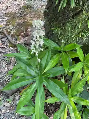 愛知縣護國神社(愛知県)