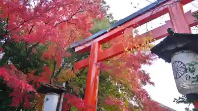 賀茂御祖神社(下鴨神社)の鳥居