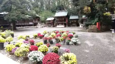 平塚八幡宮のその他建物
