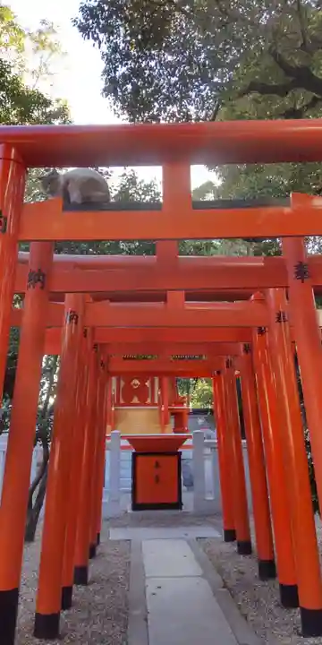 三社神社(大阪府)