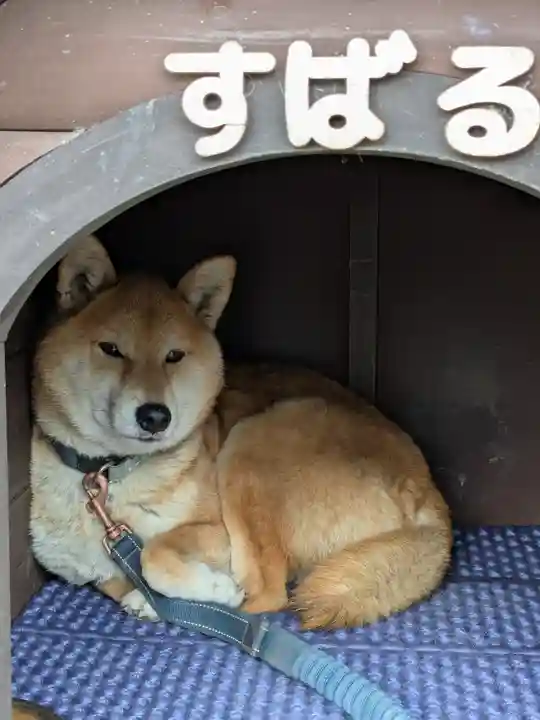 感通寺(東京都)