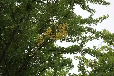 熊野福藏神社(福島県)