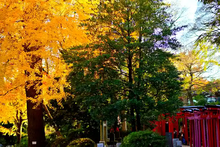 根津神社(東京都)