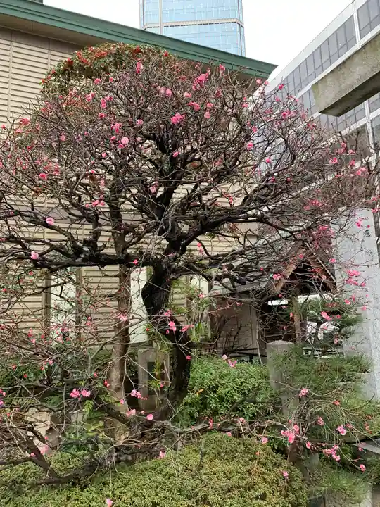 三宮神社(兵庫県)