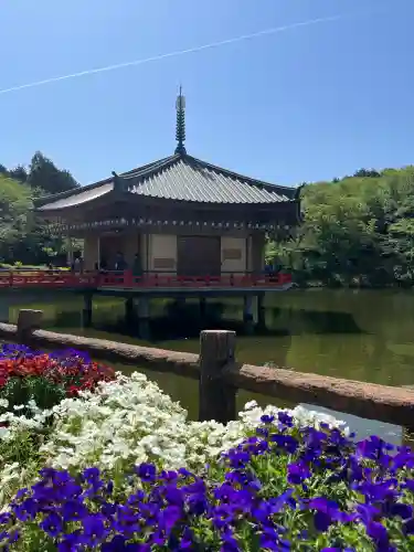 安倍文殊院 (奈良県)