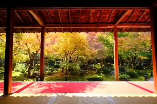 圓光寺の庭園