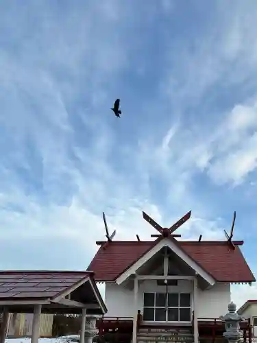 東野恵比須神社の{uncategorized: "未分類", other: "その他", undefined: "問題あり", building: "その他建物", grave: "お墓", sacred_gate: "鳥居", guardian: "狛犬", statue: "像", buddha: "仏像", history: "歴史", nature: "自然", garden: "庭園", animal: "動物", pagoda: "塔", temizu: "手水舎", mountain_gate: "山門・神門", sanctuary: "本殿・本堂", subordinate: "末社・摂社", art: "芸術", scenery: "景色", jizo: "地蔵", ema: "絵馬", goshuin: "御朱印", omikuji: "おみくじ", items: "授与品その他", amulet: "お守り", goshuincho: "御朱印帳", eats: "食事", festival: "お祭り", votive_dance: "神楽", shichigosan: "七五三参", wedding: "結婚式", experience: "体験その他", initially: "初詣", around: "周辺", anti_infection: "感染症対策"}