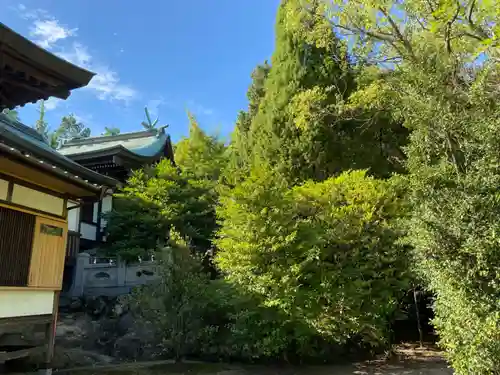 國分八幡宮(香川県)