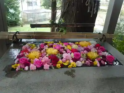 糀谷八幡宮(埼玉県)