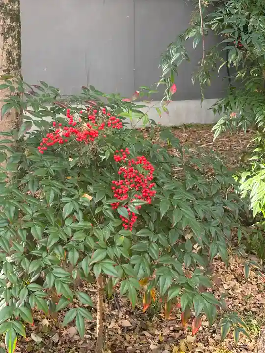 富部神社(愛知県)