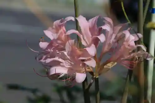 熊野福藏神社の庭園