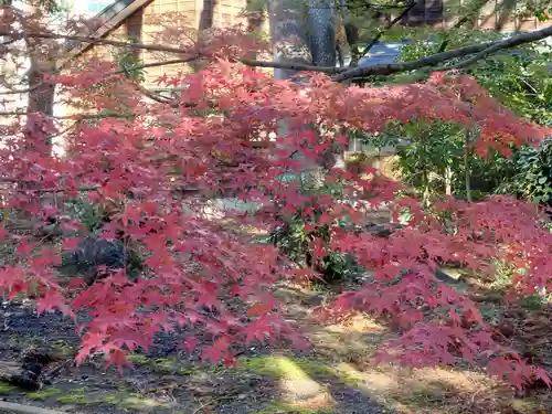 榊神社(新潟県)