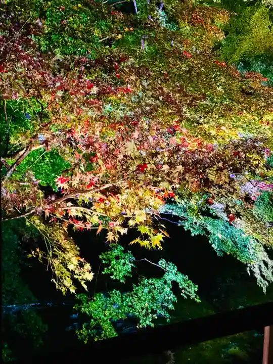 光明寺瑠璃光院(京都府)