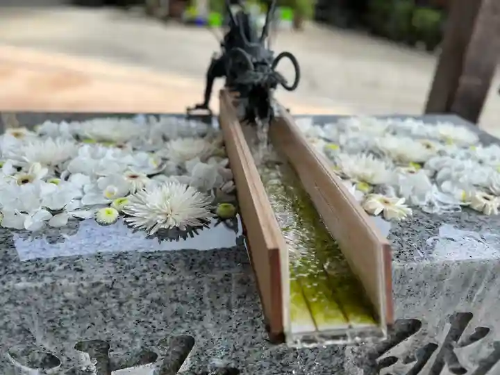 川越八幡宮(埼玉県)