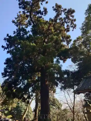 宝樹院小山寺の{uncategorized: "未分類", other: "その他", undefined: "問題あり", building: "その他建物", grave: "お墓", sacred_gate: "鳥居", guardian: "狛犬", statue: "像", buddha: "仏像", history: "歴史", nature: "自然", garden: "庭園", animal: "動物", pagoda: "塔", temizu: "手水舎", mountain_gate: "山門・神門", sanctuary: "本殿・本堂", subordinate: "末社・摂社", art: "芸術", scenery: "景色", jizo: "地蔵", ema: "絵馬", goshuin: "御朱印", omikuji: "おみくじ", items: "授与品その他", amulet: "お守り", goshuincho: "御朱印帳", eats: "食事", festival: "お祭り", votive_dance: "神楽", shichigosan: "七五三参", wedding: "結婚式", experience: "体験その他", initially: "初詣", around: "周辺", anti_infection: "感染症対策"}