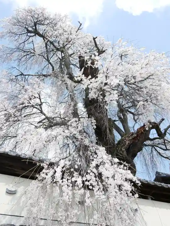 福王寺のその他建物