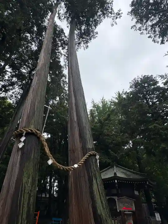 豊川閣 妙厳寺の{uncategorized: "未分類", other: "その他", undefined: "問題あり", building: "その他建物", grave: "お墓", sacred_gate: "鳥居", guardian: "狛犬", statue: "像", buddha: "仏像", history: "歴史", nature: "自然", garden: "庭園", animal: "動物", pagoda: "塔", temizu: "手水舎", mountain_gate: "山門・神門", sanctuary: "本殿・本堂", subordinate: "末社・摂社", art: "芸術", scenery: "景色", jizo: "地蔵", ema: "絵馬", goshuin: "御朱印", omikuji: "おみくじ", items: "授与品その他", amulet: "お守り", goshuincho: "御朱印帳", eats: "食事", festival: "お祭り", votive_dance: "神楽", shichigosan: "七五三参", wedding: "結婚式", experience: "体験その他", initially: "初詣", around: "周辺", anti_infection: "感染症対策"}