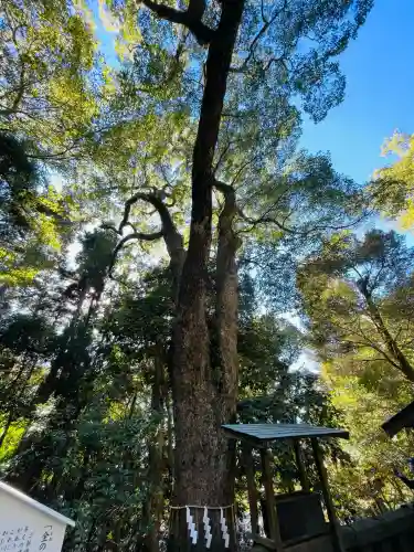 久能山東照宮(静岡県)