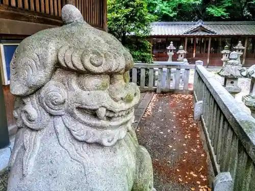 野田八幡宮の狛犬