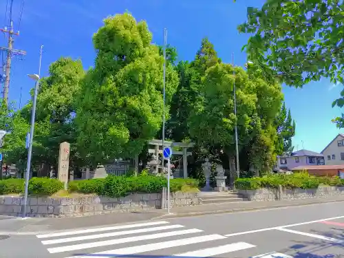 松山神社（鍋片）の自然
