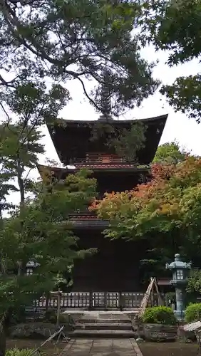 豪徳寺(東京都)