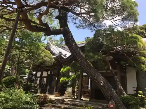 修禅寺の建物その他