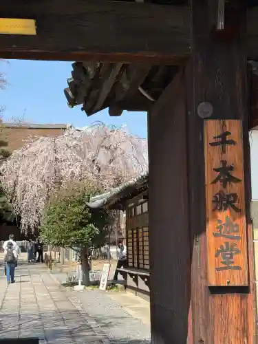 大報恩寺（千本釈迦堂）の{uncategorized: "未分類", other: "その他", undefined: "問題あり", building: "その他建物", grave: "お墓", sacred_gate: "鳥居", guardian: "狛犬", statue: "像", buddha: "仏像", history: "歴史", nature: "自然", garden: "庭園", animal: "動物", pagoda: "塔", temizu: "手水舎", mountain_gate: "山門・神門", sanctuary: "本殿・本堂", subordinate: "末社・摂社", art: "芸術", scenery: "景色", jizo: "地蔵", ema: "絵馬", goshuin: "御朱印", omikuji: "おみくじ", items: "授与品その他", amulet: "お守り", goshuincho: "御朱印帳", eats: "食事", festival: "お祭り", votive_dance: "神楽", shichigosan: "七五三参", wedding: "結婚式", experience: "体験その他", initially: "初詣", around: "周辺", anti_infection: "感染症対策"}