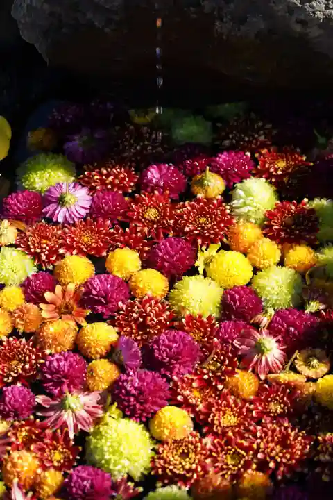 大鏑神社の手水舎