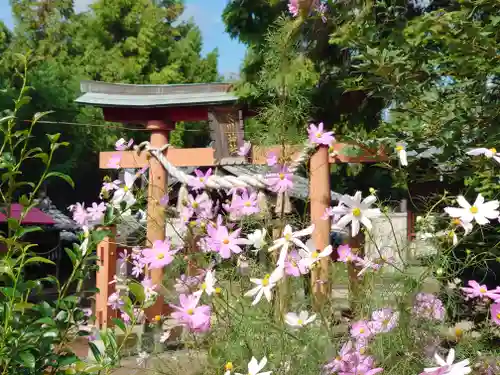 川崎氷川神社(埼玉県)