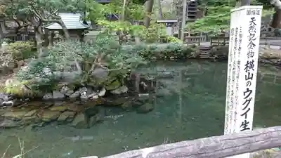 横山不動尊のその他建物