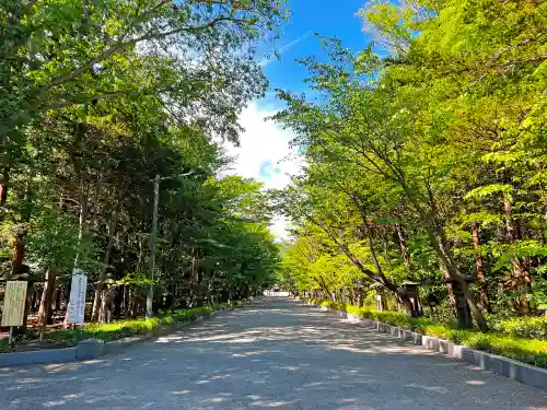 北海道神宮の景色