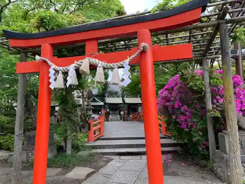 千葉神社の鳥居